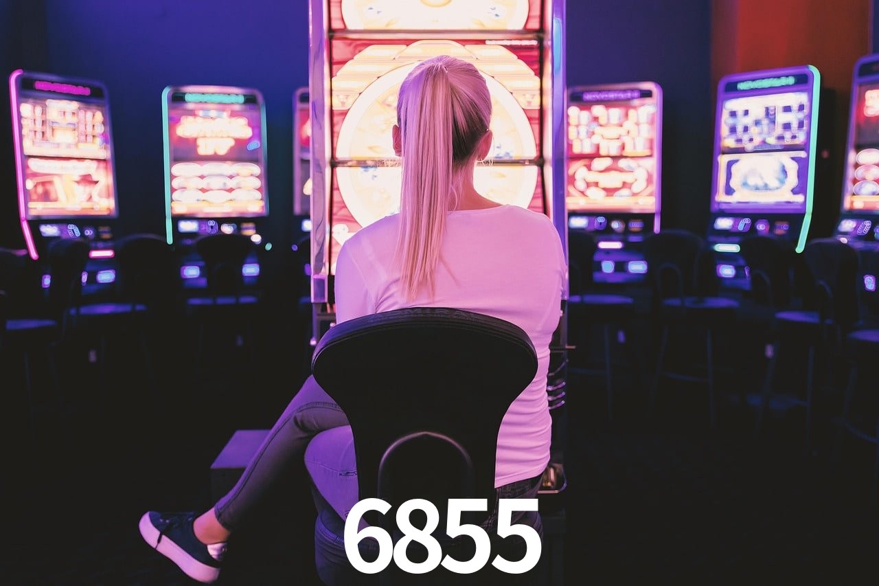 Game Statistics 6855
